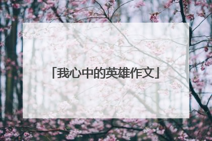 我心中的英雄作文
