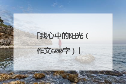 我心中的阳光(作文600字)