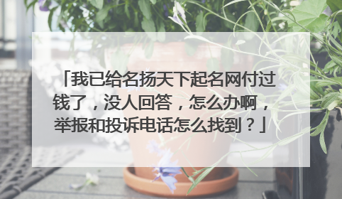 我已给名扬天下起名网付过钱了，没人回答，怎么办啊，举报和投诉电话怎么找到？