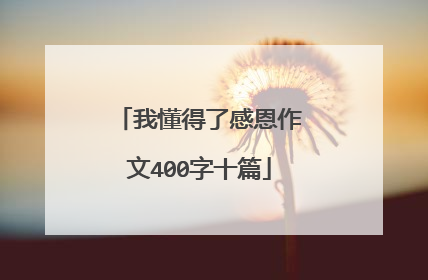 我懂得了感恩作文400字十篇