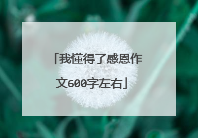 我懂得了感恩作文600字左右