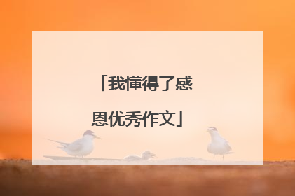 我懂得了感恩优秀作文