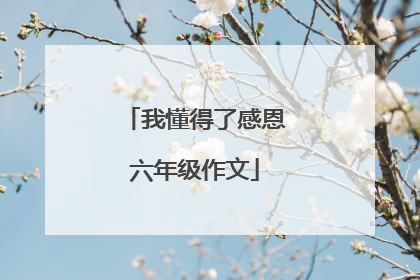 我懂得了感恩六年级作文