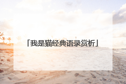 我是猫经典语录赏析