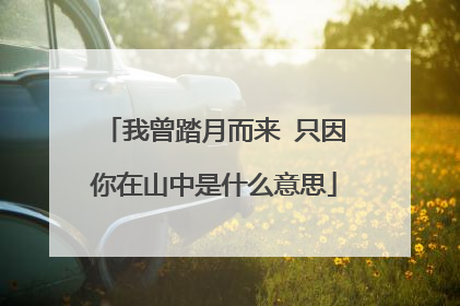 我曾踏月而来 只因你在山中是什么意思