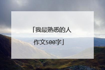 我最熟悉的人作文500字