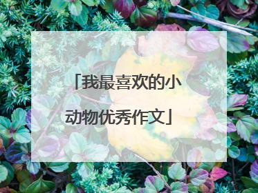 我最喜欢的小动物优秀作文