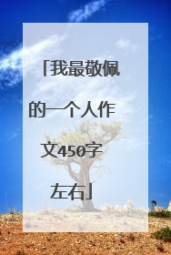 我最敬佩的一个人作文450字左右