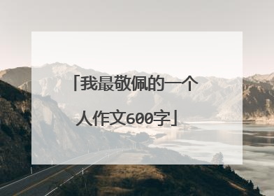 我最敬佩的一个人作文600字