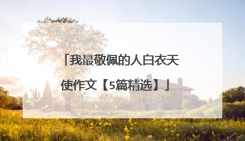 我最敬佩的人白衣天使作文【5篇精选】