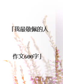 我最敬佩的人作文600字