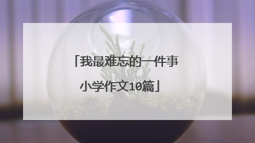 我最难忘的一件事小学作文10篇
