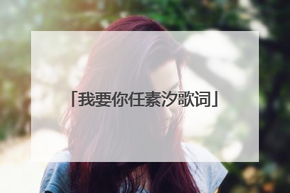 我要你任素汐歌词