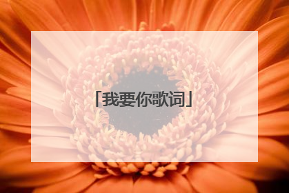 我要你歌词