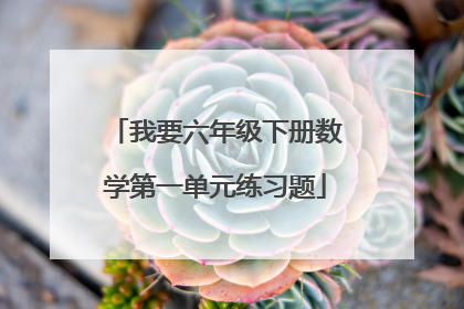 我要六年级下册数学第一单元练习题