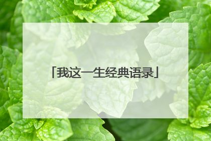 我这一生经典语录
