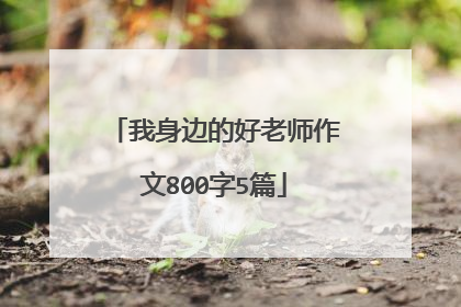 我身边的好老师作文800字5篇