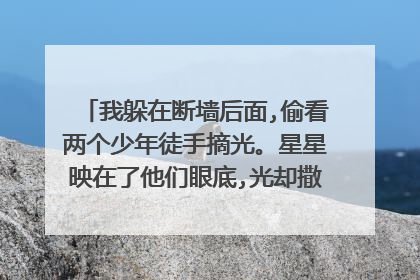 我躲在断墙后面,偷看两个少年徒手摘光。星星映在了他们眼底,光却撒在了我的身上。语文功底不好不太理解？