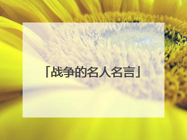 战争的名人名言