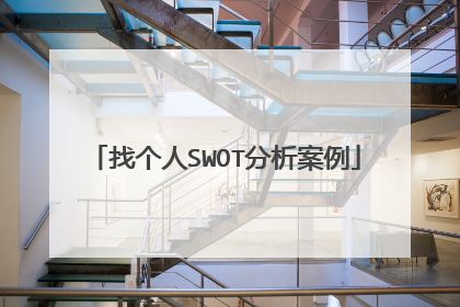 找个人SWOT分析案例