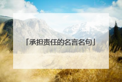 承担责任的名言名句