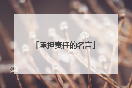 承担责任的名言