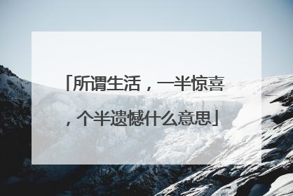 所谓生活,一半惊喜,个半遗憾什么意思