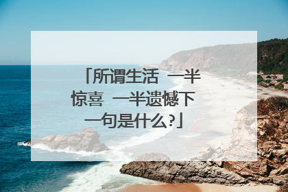 所谓生活 一半惊喜 一半遗憾下一句是什么?
