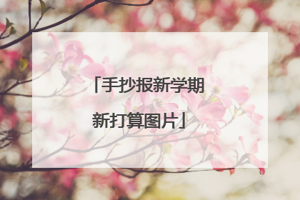 手抄报新学期新打算图片