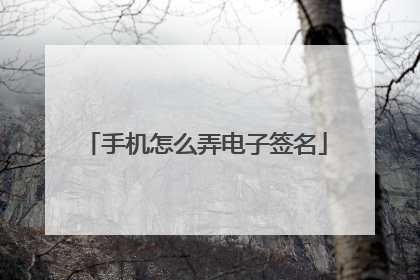 手机怎么弄电子签名