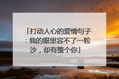 打动人心的爱情句子：我的眼里容不了一粒沙，却有整个你