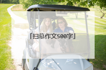 扫墓作文500字