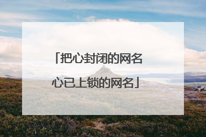 把心封闭的网名 心已上锁的网名