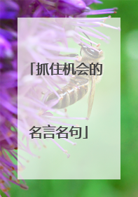 抓住机会的名言名句