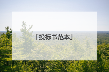 投标书范本