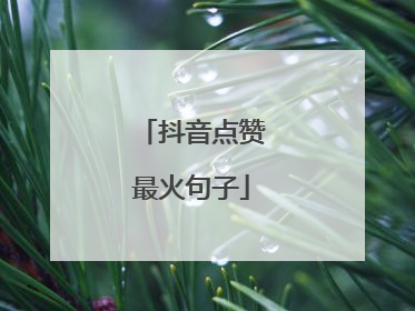 抖音点赞最火句子