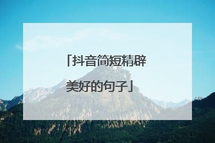 抖音简短精辟美好的句子