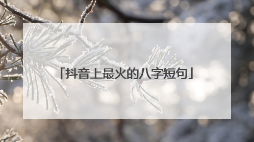 抖音上最火的八字短句