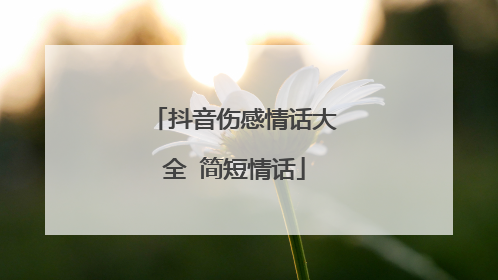 抖音伤感情话大全 简短情话