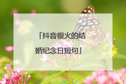 抖音很火的结婚纪念日短句