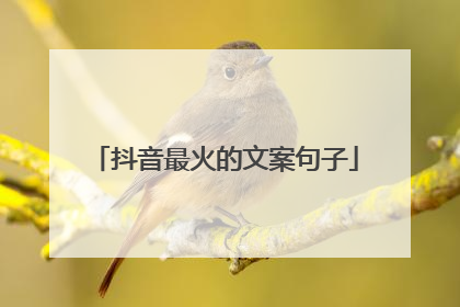 抖音最火的文案句子