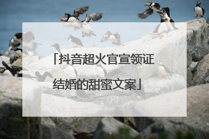 抖音超火官宣领证结婚的甜蜜文案