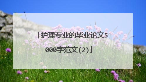 护理专业的毕业论文5000字范文(2)