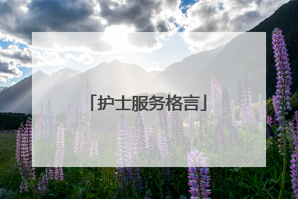 护士服务格言