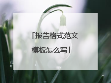 报告格式范文模板怎么写