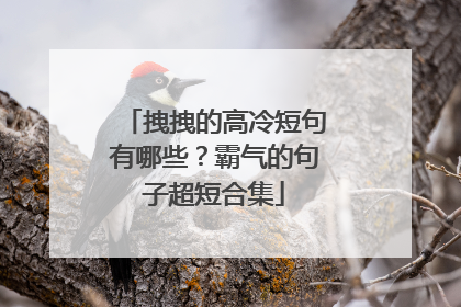 拽拽的高冷短句有哪些?霸气的句子超短合集