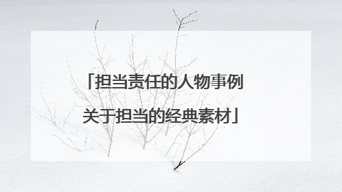 担当责任的人物事例 关于担当的经典素材