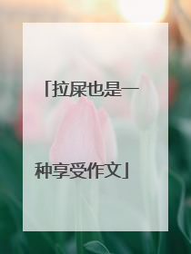 拉屎也是一种享受作文