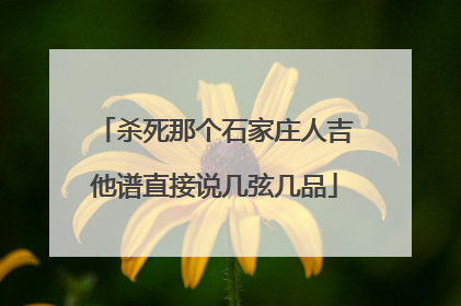 杀死那个石家庄人吉他谱直接说几弦几品
