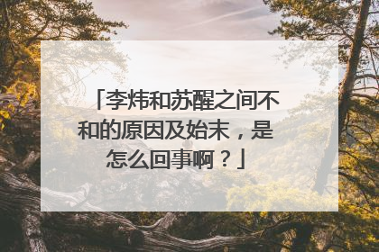 李炜和苏醒之间不和的原因及始末，是怎么回事啊？